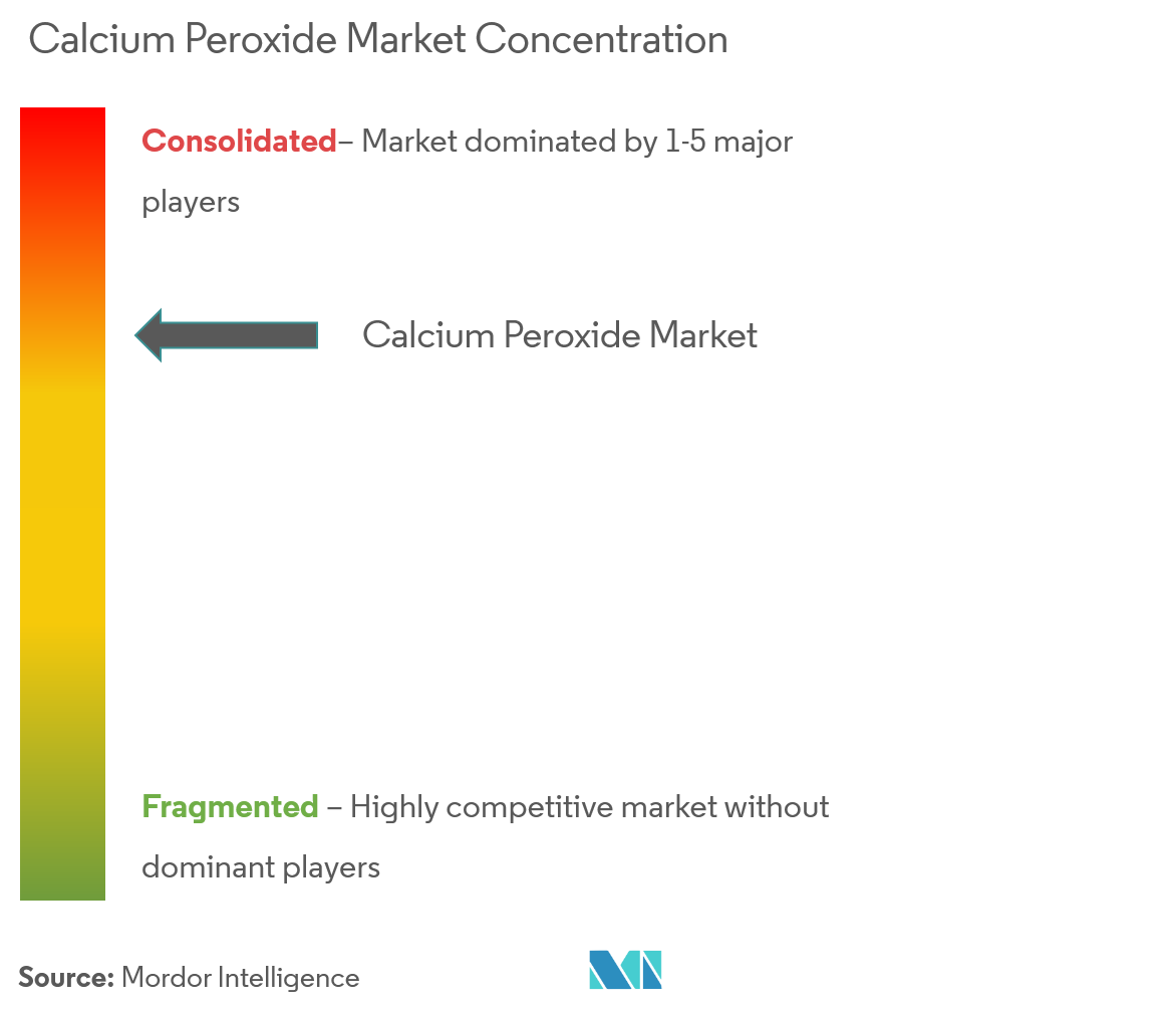 Solvay SA、PeroxyChem、American Elements、Nikunj Chemicals、Carus Group Inc.